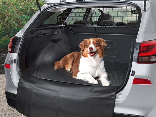 Автомобілі Hyundai м. Тернопіль | Купити новий Хюндай | Автопалац Тернопіль - фото 8